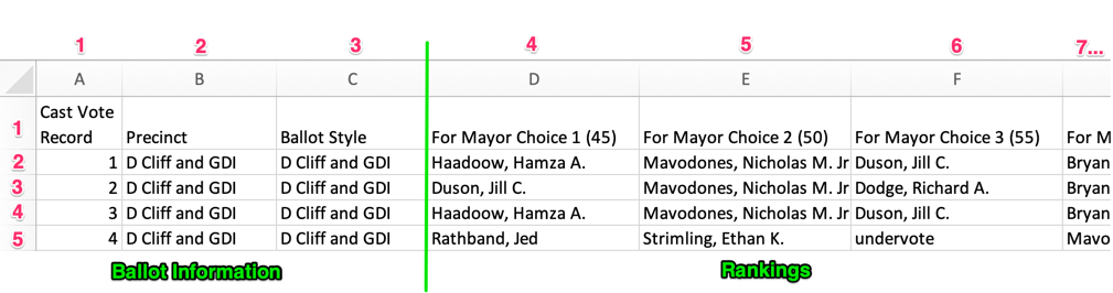 ES&S CVR With Index Numbers