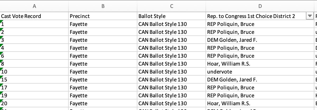 Screenshot of a partial ES&S cast vote record displayed in a spreadsheet application
