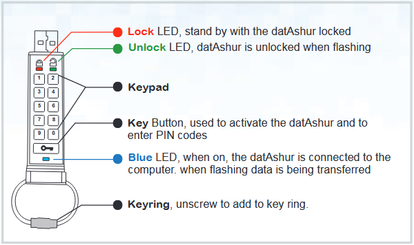datAshure PRO Layout